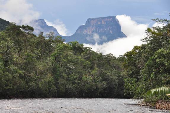 A maravilhosa paisagem no caminho para o Salto Angel, em Canaima, no sul da Venezueka